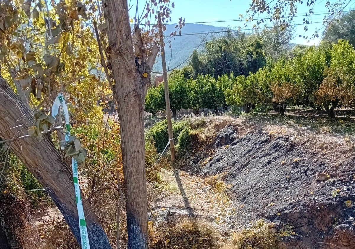 Lugar donde previsiblemente tuvo su origen el incendio.