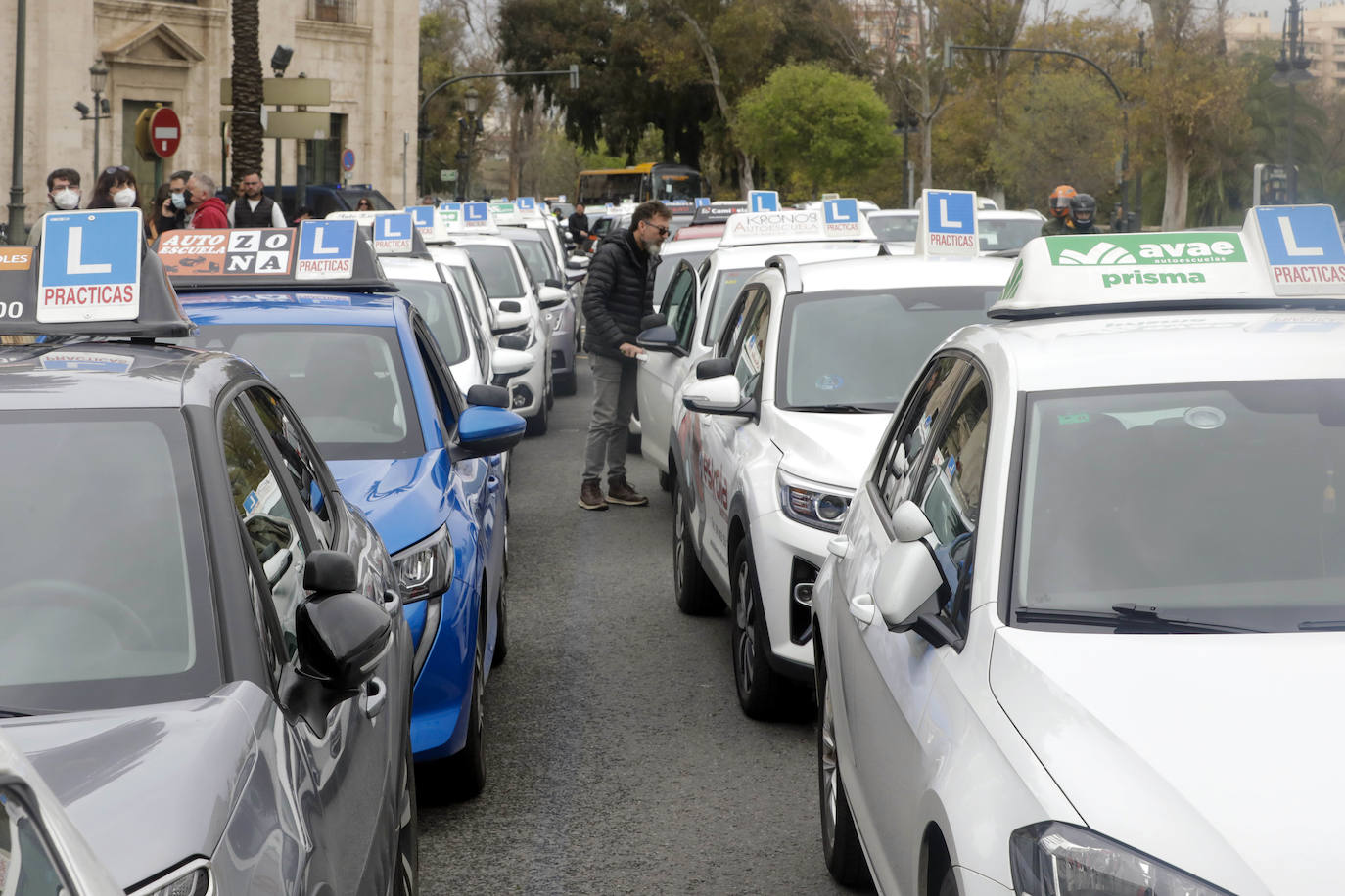 Coches de autoescuela, en Valencia