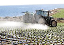 Plagas. Un agricultor realiza un tratamiento fitosanitario, con tractor y cuba de pulverizar, en un cultivo de hortalizas.