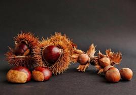 Bodegón de frutos secos de otoño: castañas, avellanas y nueces.