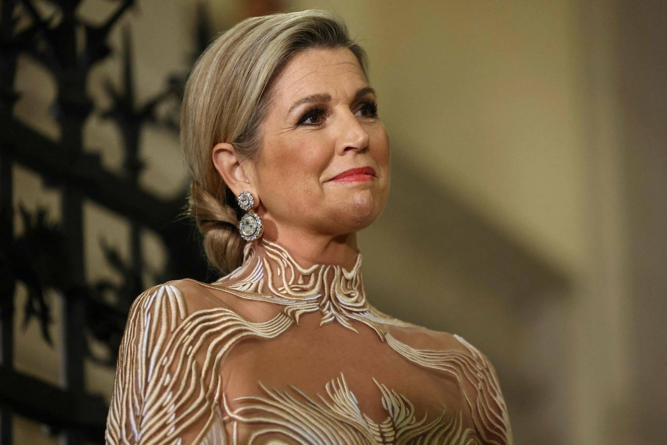 Máxima de Holanda y su aplaudido vestido con transparencias