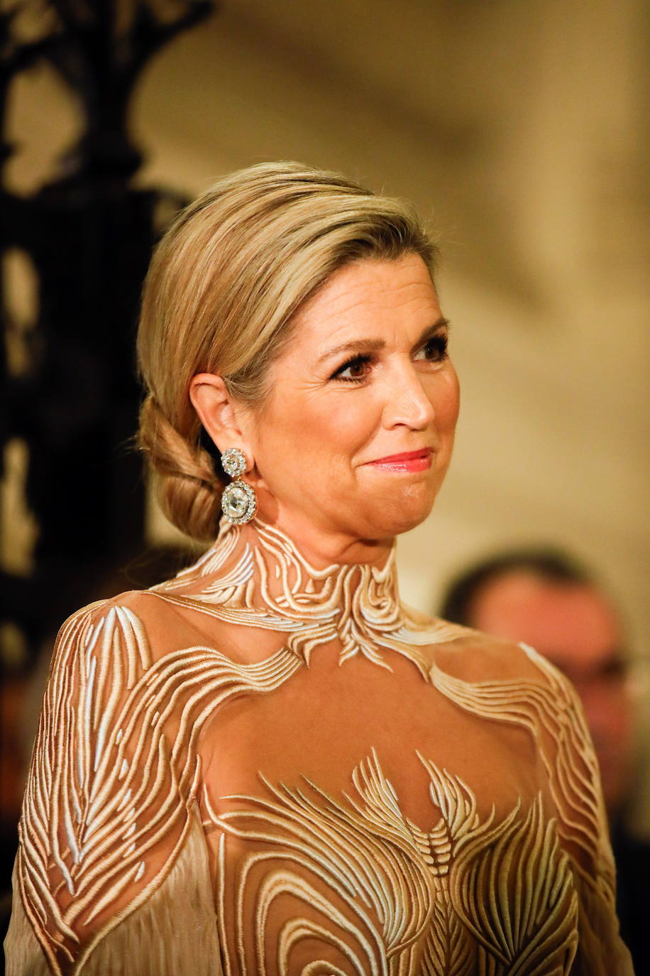 Máxima de Holanda y su aplaudido vestido con transparencias