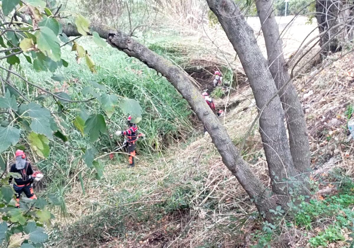 Primeros trabajos en Sumacàrcer.