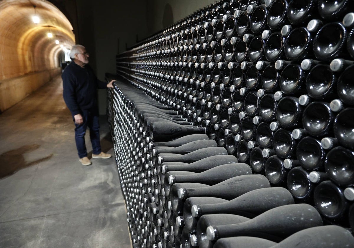 Emilio observa las botellas almacenadas en Dominio de la Vega.