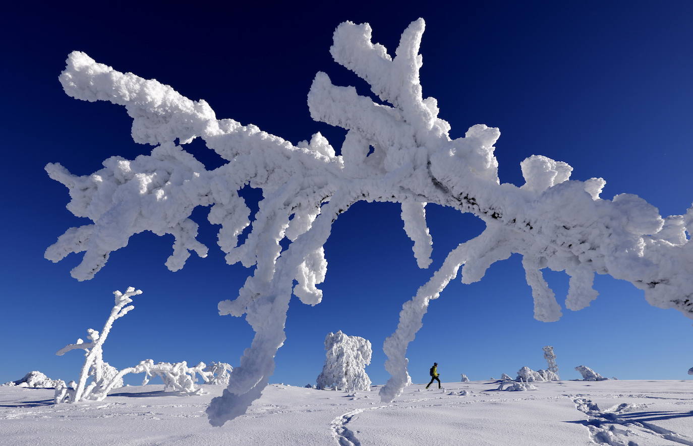 La nieve sepulta Alemania, en imágenes