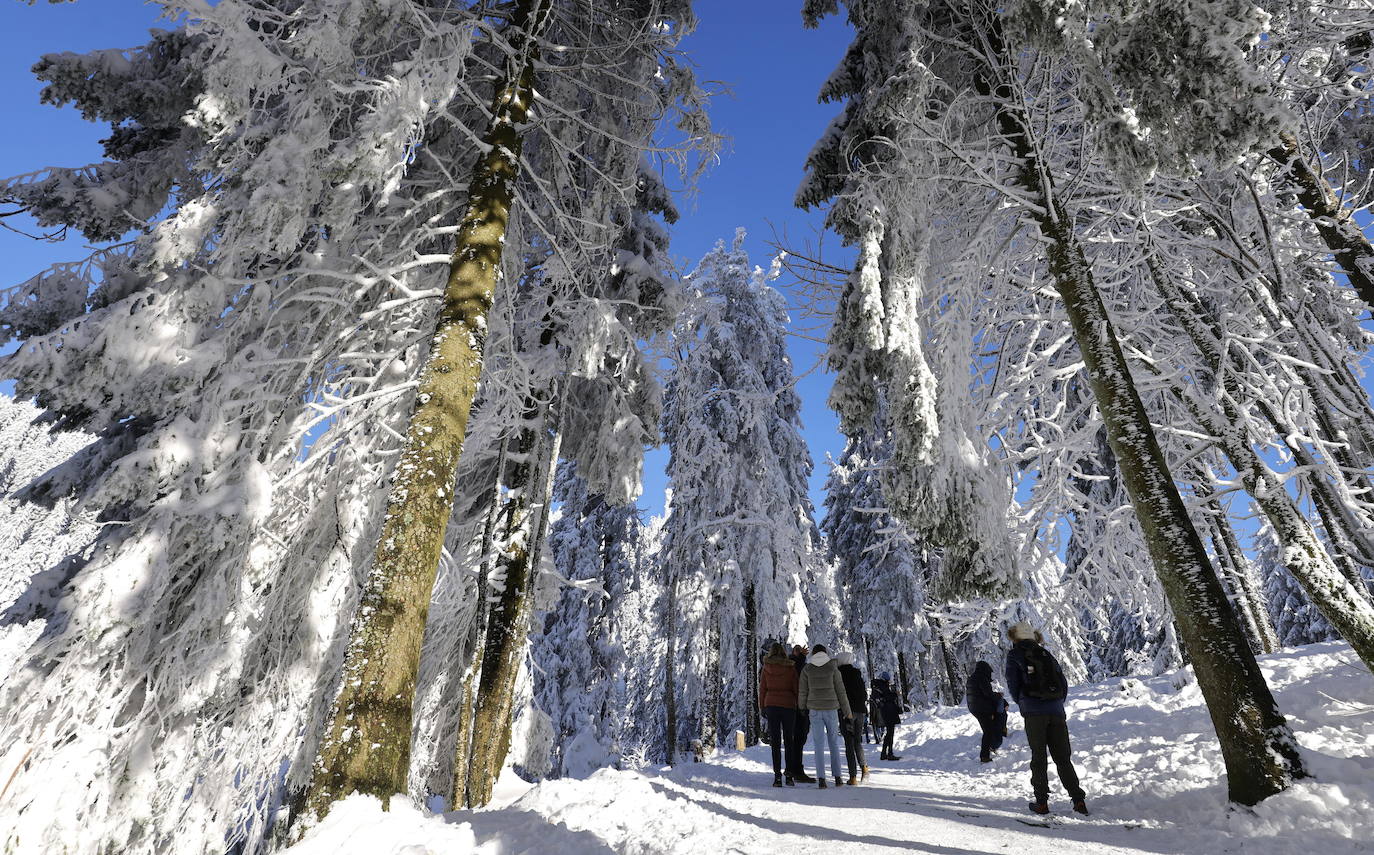 La nieve sepulta Alemania, en imágenes