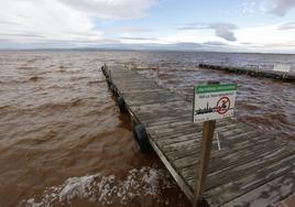 El agua de la Albufera sigue marrón