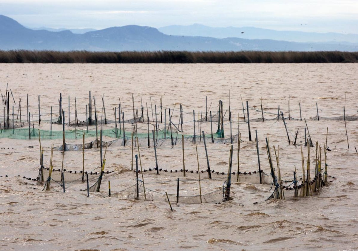 La laguna con las aguas marrones.