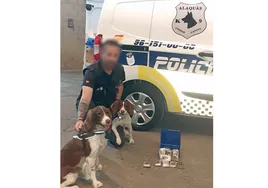 Perros de la Unidad Canina de Alaquàs.