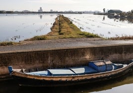 Campos de arroz en la Albufera.