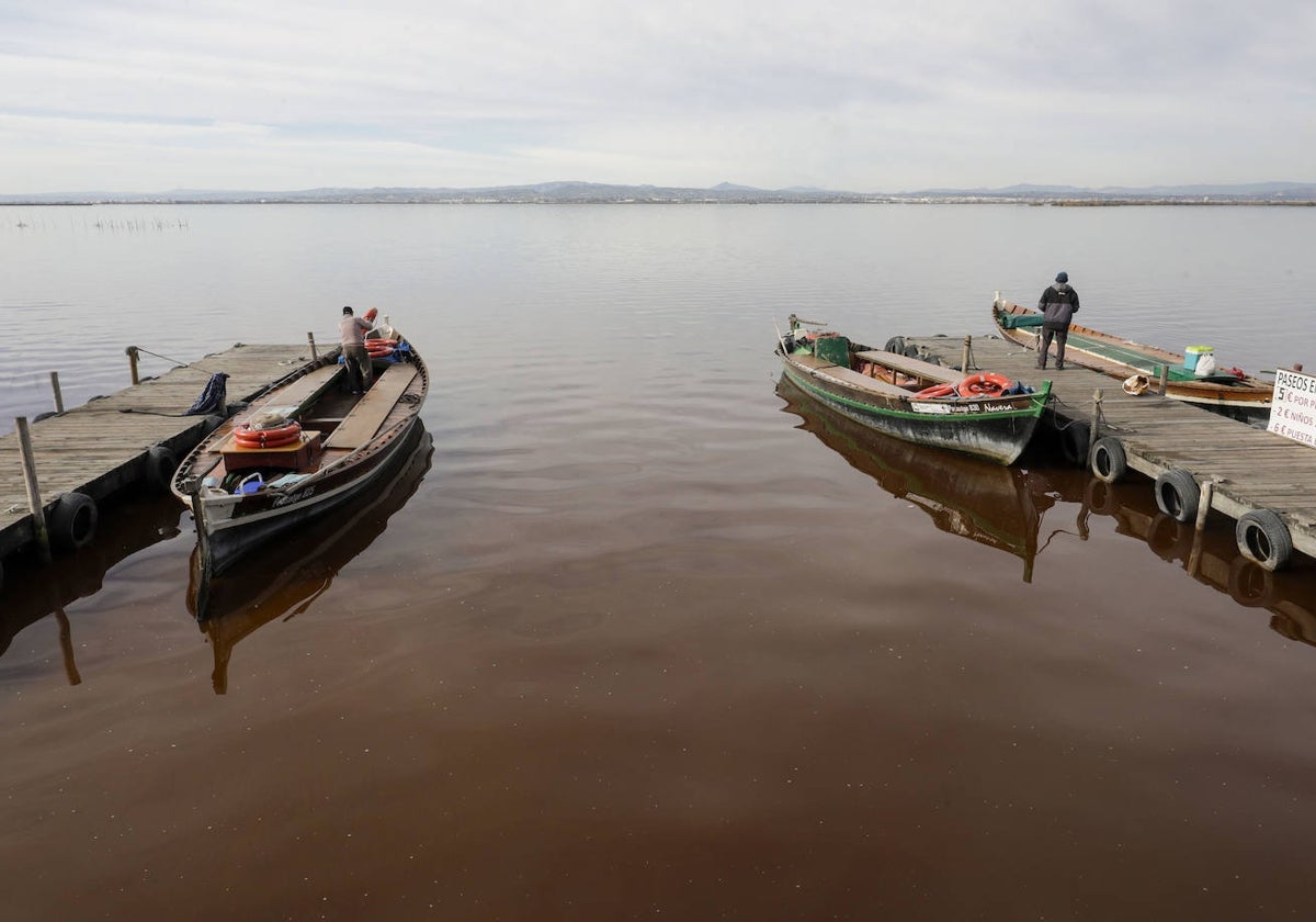 Lago de la Albufera, con el agua en tono marrón.