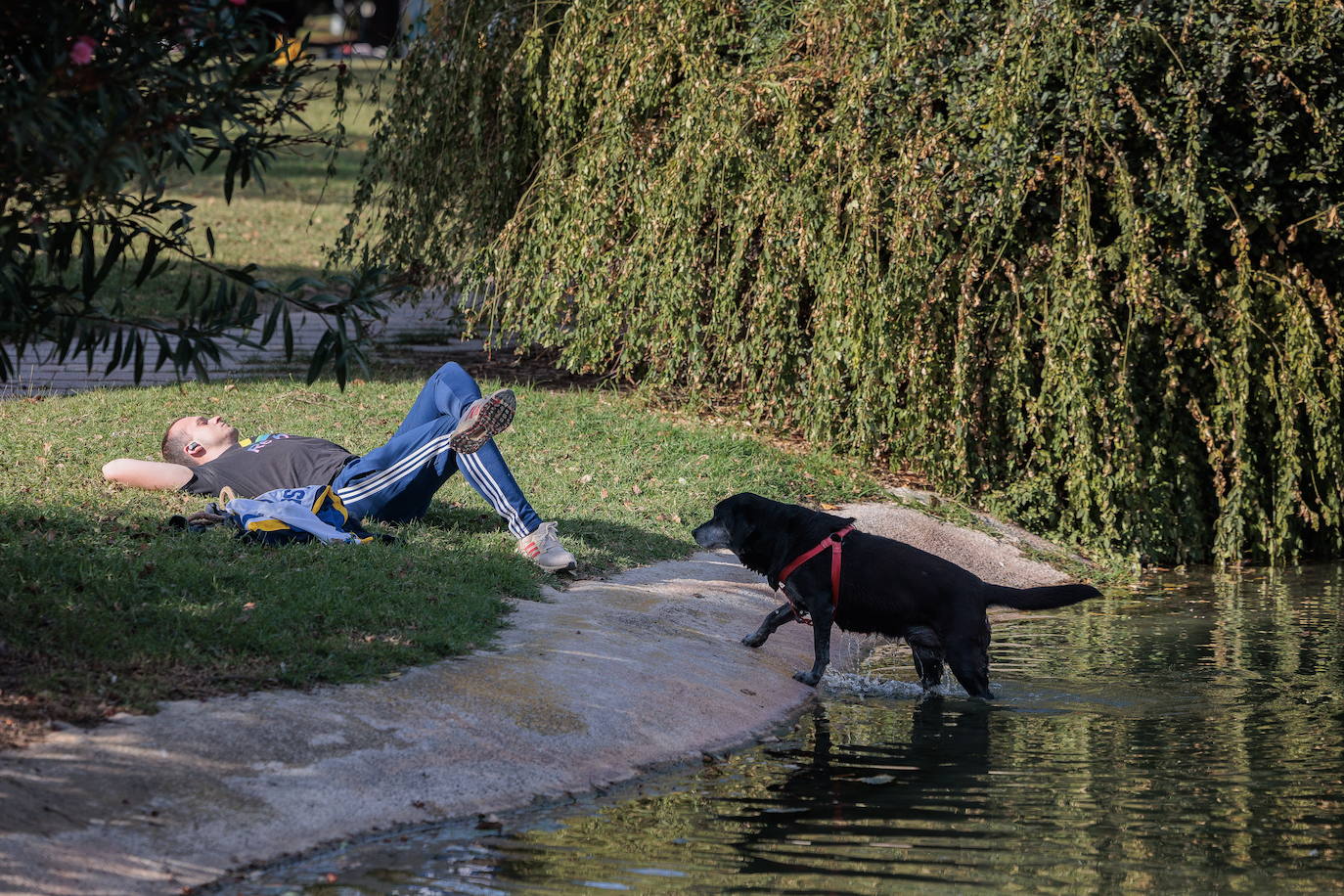 El buen tiempo invita a disfrutar al aire libre.