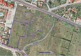 Parcela cedida para el proyecto.