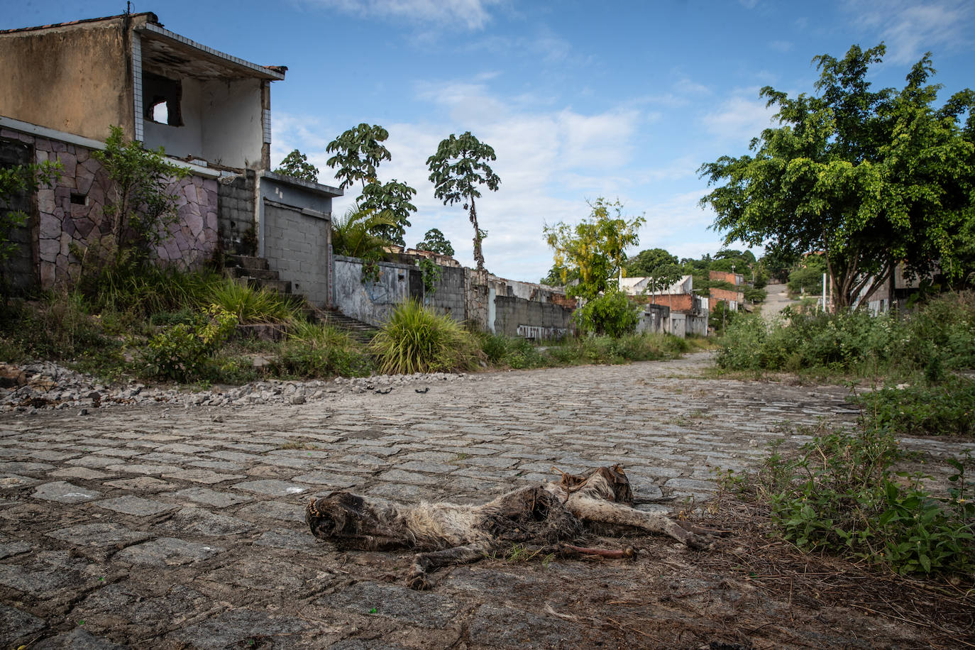 Una mina amenaza con tragarse a toda la población de Maceió en Brasil