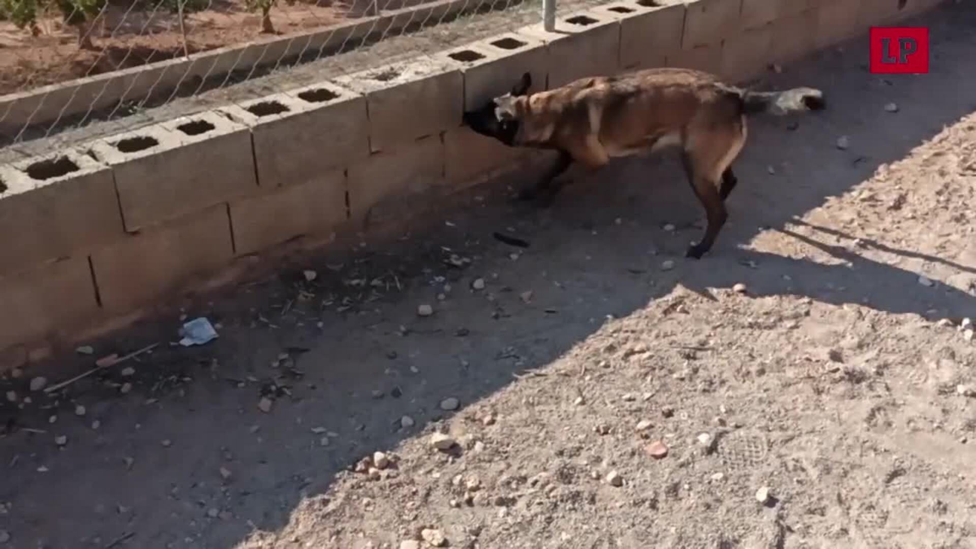 VIDEO 1
