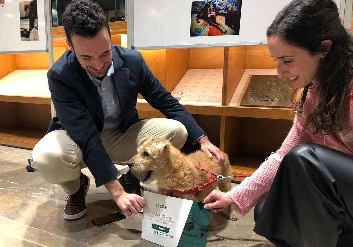 Imagen principal - Panky, recogiendo el diploma que lo acredita como ganador del concurso. El segundo premio, con Olivia como protagonista. Y el tercer ganador, Mife.