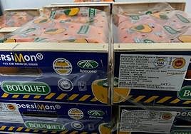 ANECOOP envía el primer contenedor de kaki persimón con destino a China Continental