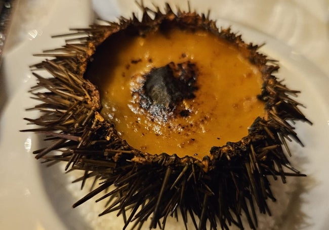 Preparación culinaria del erizo.