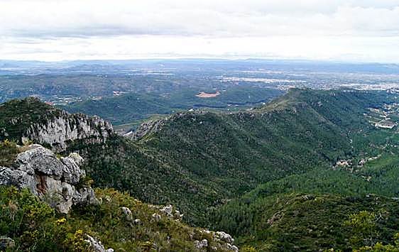 Paraje natural de la Murta.