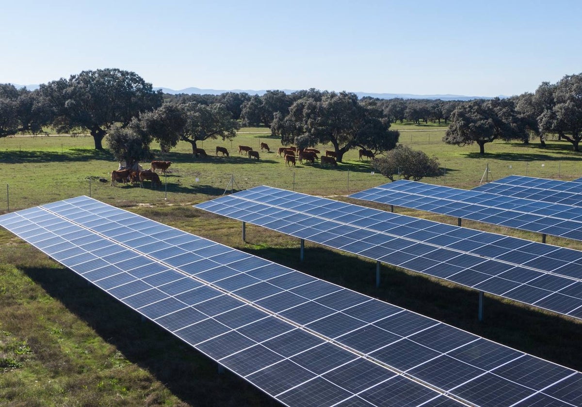 Planta fotovoltaica de Statkraft en Cáceres.