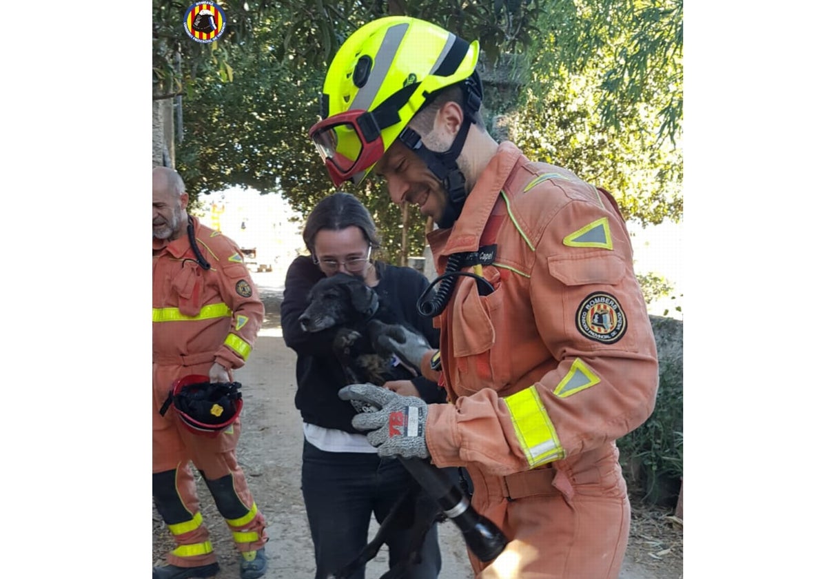 La perrita salvada.