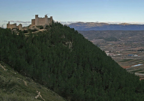 Panorámica del castillo de Santa Magdalena de Pulpis.