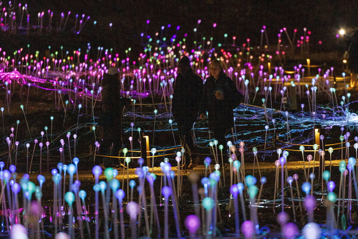 La Freedom Plaza de Nueva York se ilumina con una instalación de Bruce Munro