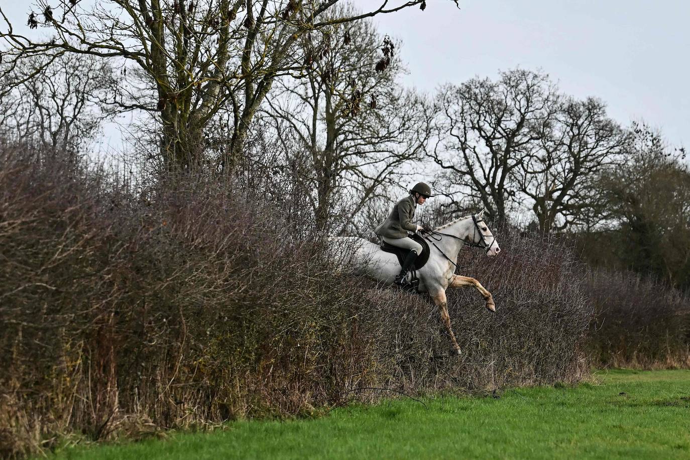 Reino Unido celebra el tradicional día de cacería Boxing Day