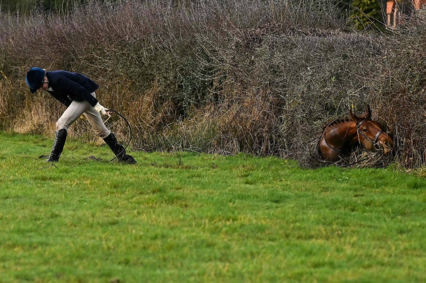 Reino Unido celebra el tradicional día de cacería Boxing Day