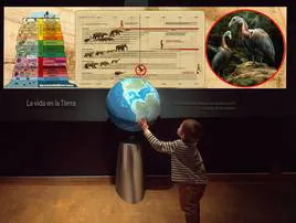 Realidad virtual en el Museo de Ciencias Naturales de Valencia.