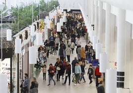 Clientes de un centro comercial en Valencia.