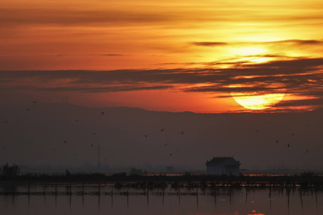 Fotos: Primer atardecer de 2023 sobre los arrozales junto a la Albufera