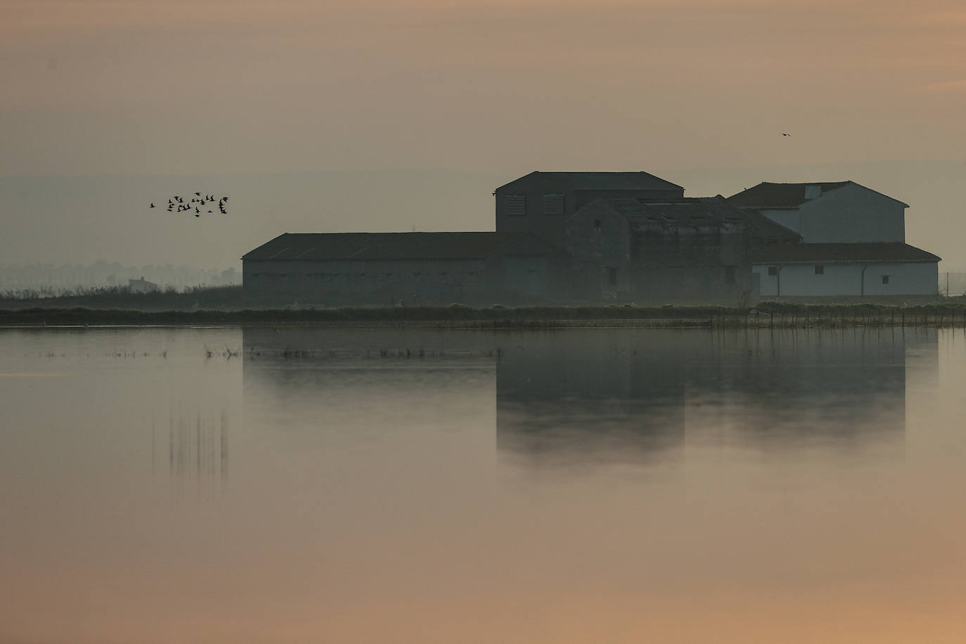 Fotos: Primer atardecer de 2023 sobre los arrozales junto a la Albufera