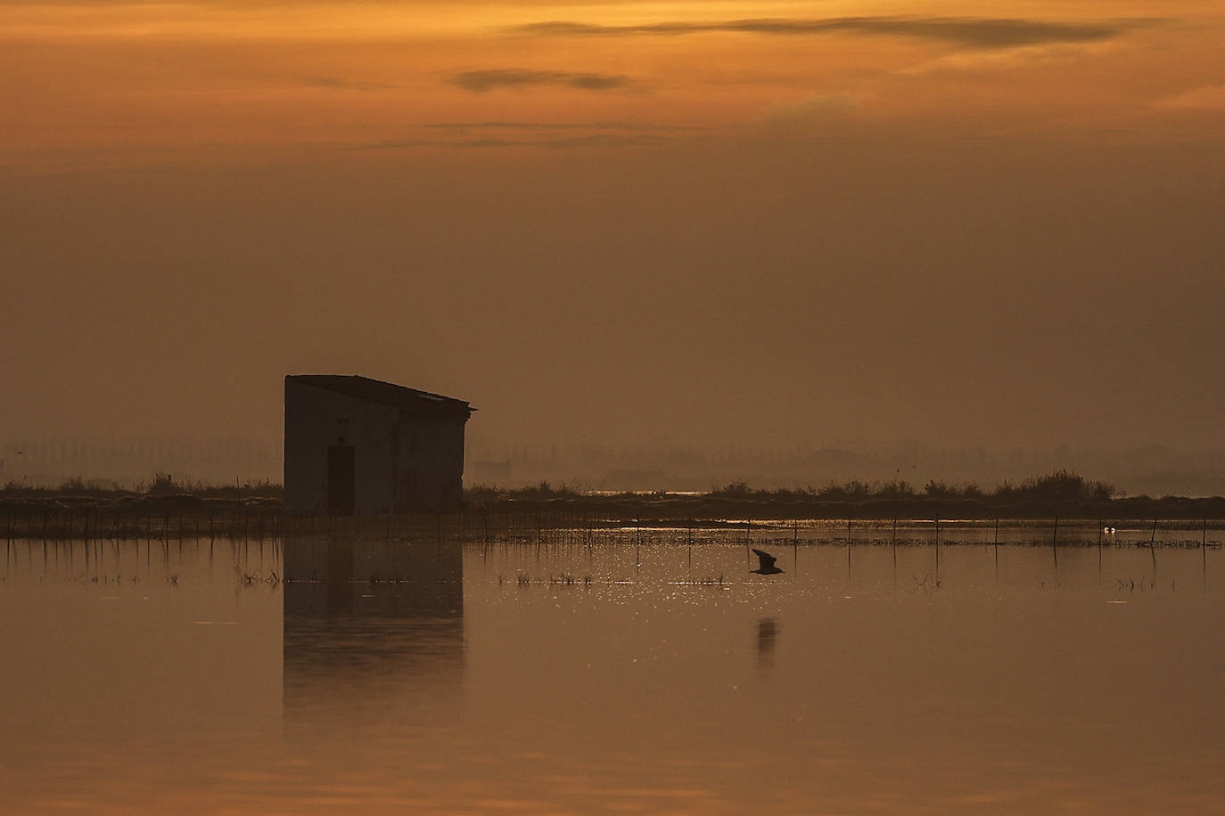 Fotos: Primer atardecer de 2023 sobre los arrozales junto a la Albufera