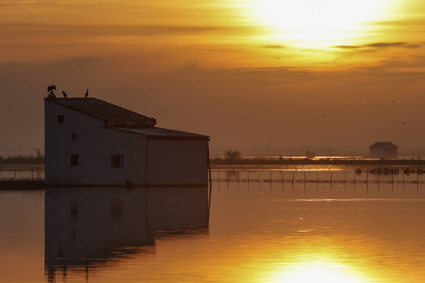 Fotos: Primer atardecer de 2023 sobre los arrozales junto a la Albufera