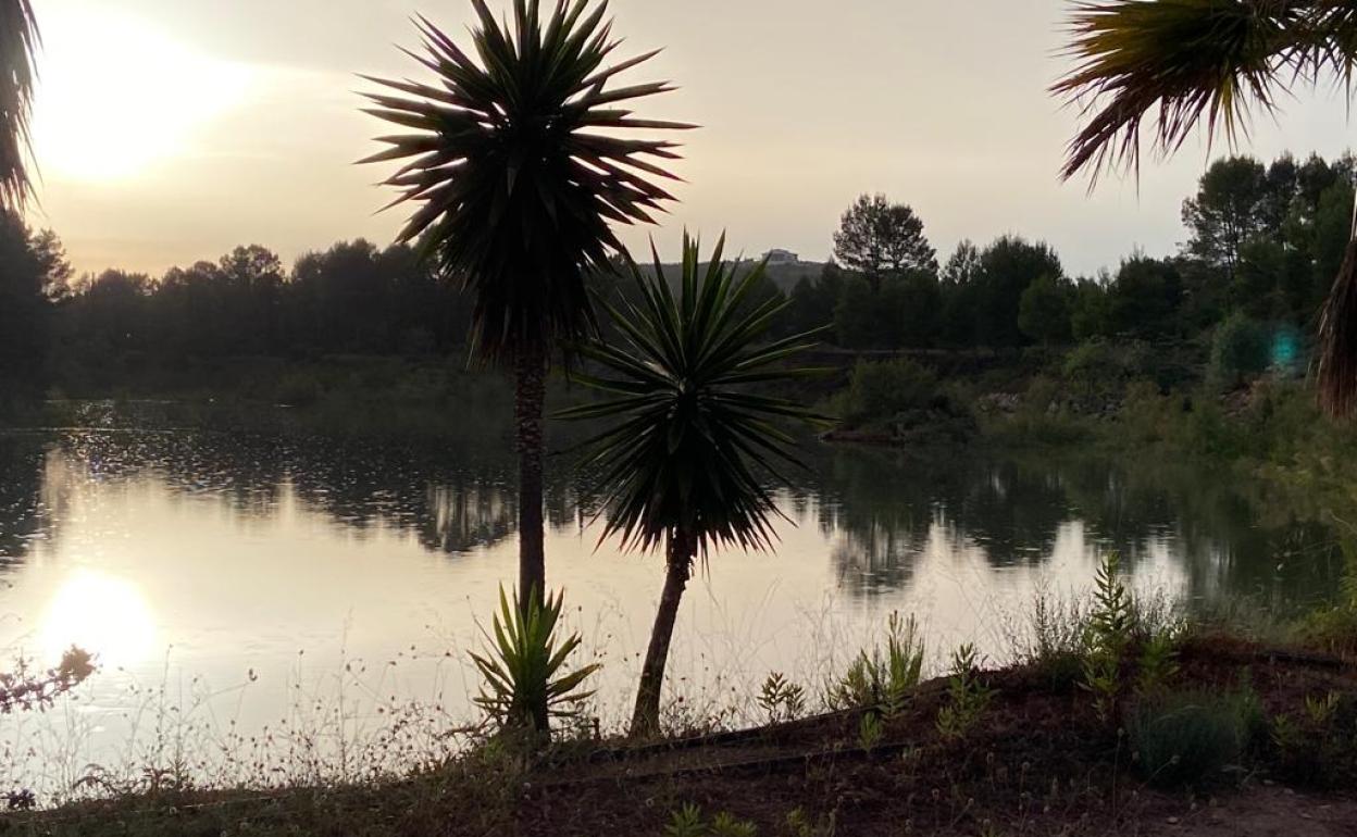 Lugar donde irá ubicada la residencia,  junto a un lago. 