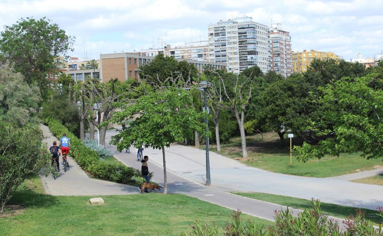 Acceso a uno de los tramos del jardín del Turia. 