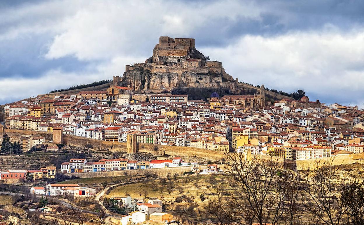 Morella