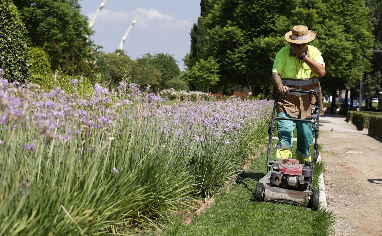 Un jardinero trabaja en un parque de Valencia. 