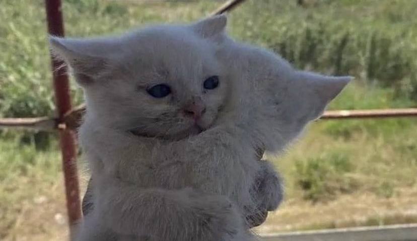 A veces, el mejor caldito de pollo es un abrazo. Aquí va el mío 