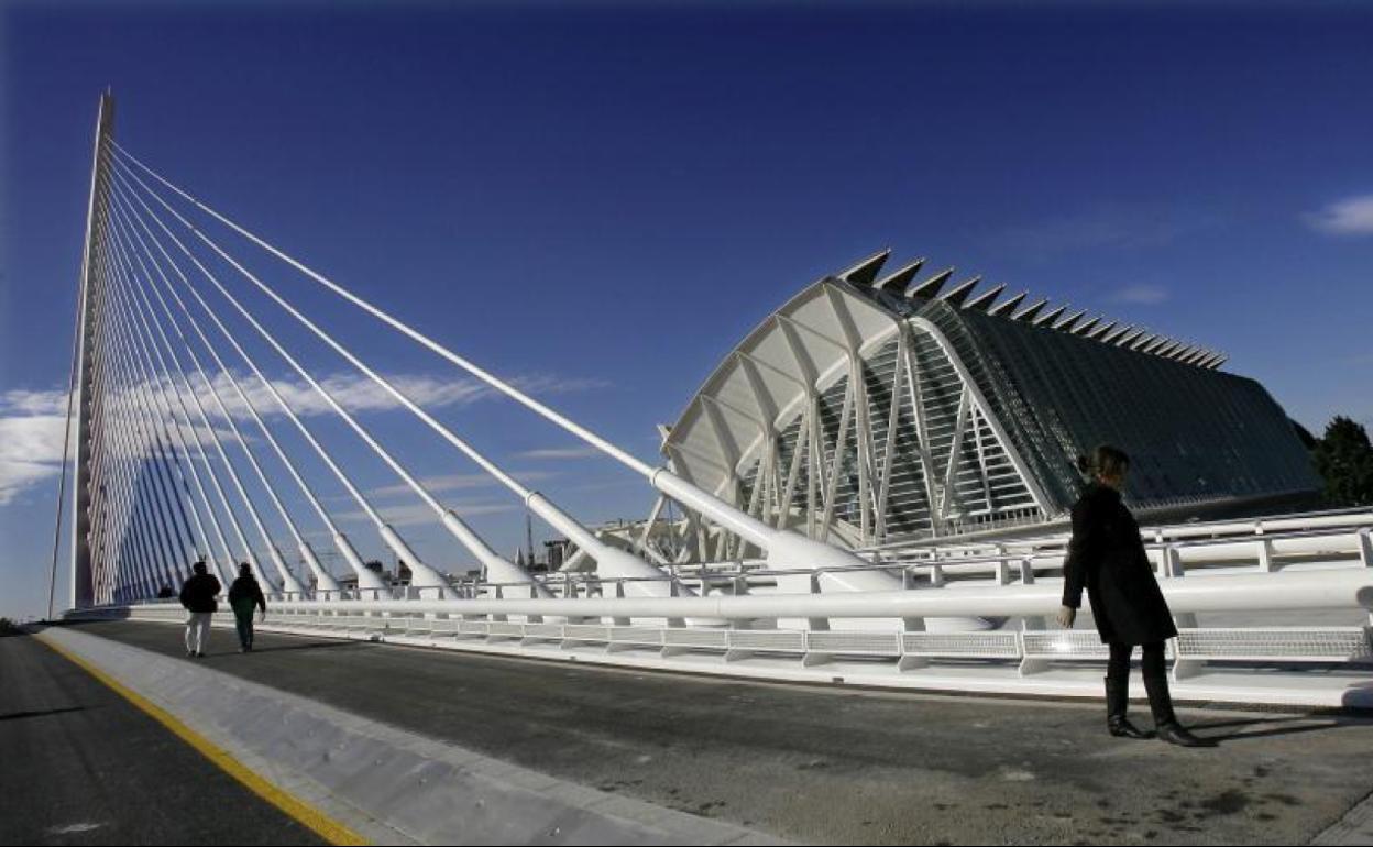 El accidente se ha producido en el entorno de la Ciudad de las Artes. 