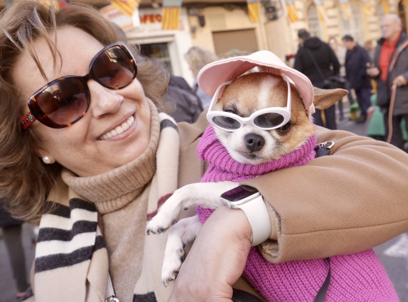 Cientos de personas se han acercado hasta la calle Sagunto en Valencia para bendecir a sus animales en honor al patrón, San Antonio Abad