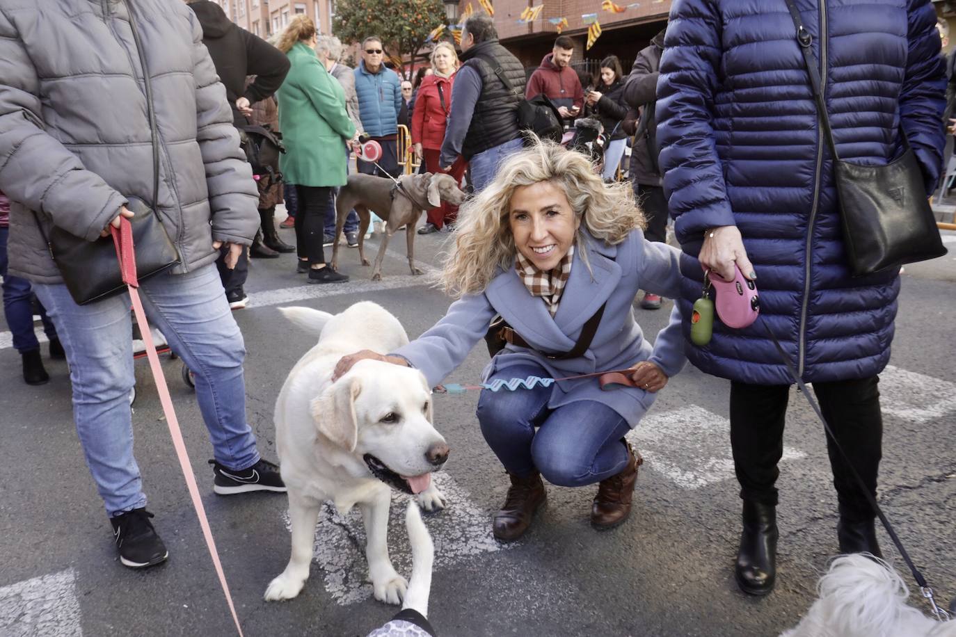 Cientos de personas se han acercado hasta la calle Sagunto en Valencia para bendecir a sus animales en honor al patrón, San Antonio Abad