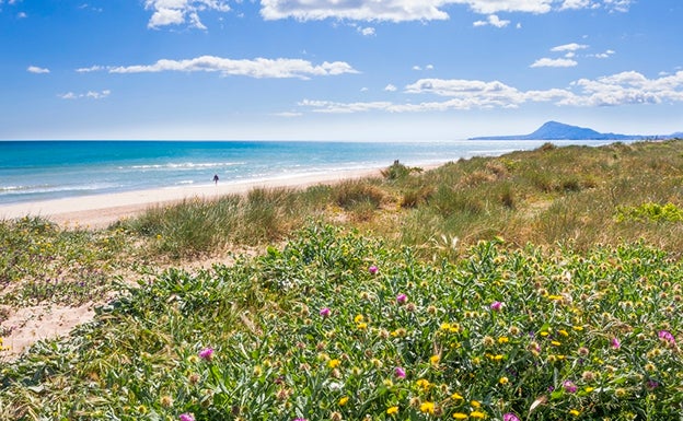 La playa de Aigua Blanca en Oliva, junto a la desembocadura del río Bullent. 