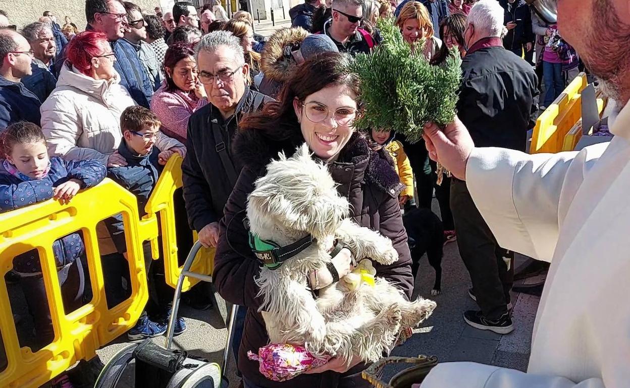 Uno de los animales recibe la bendición del párroco. 