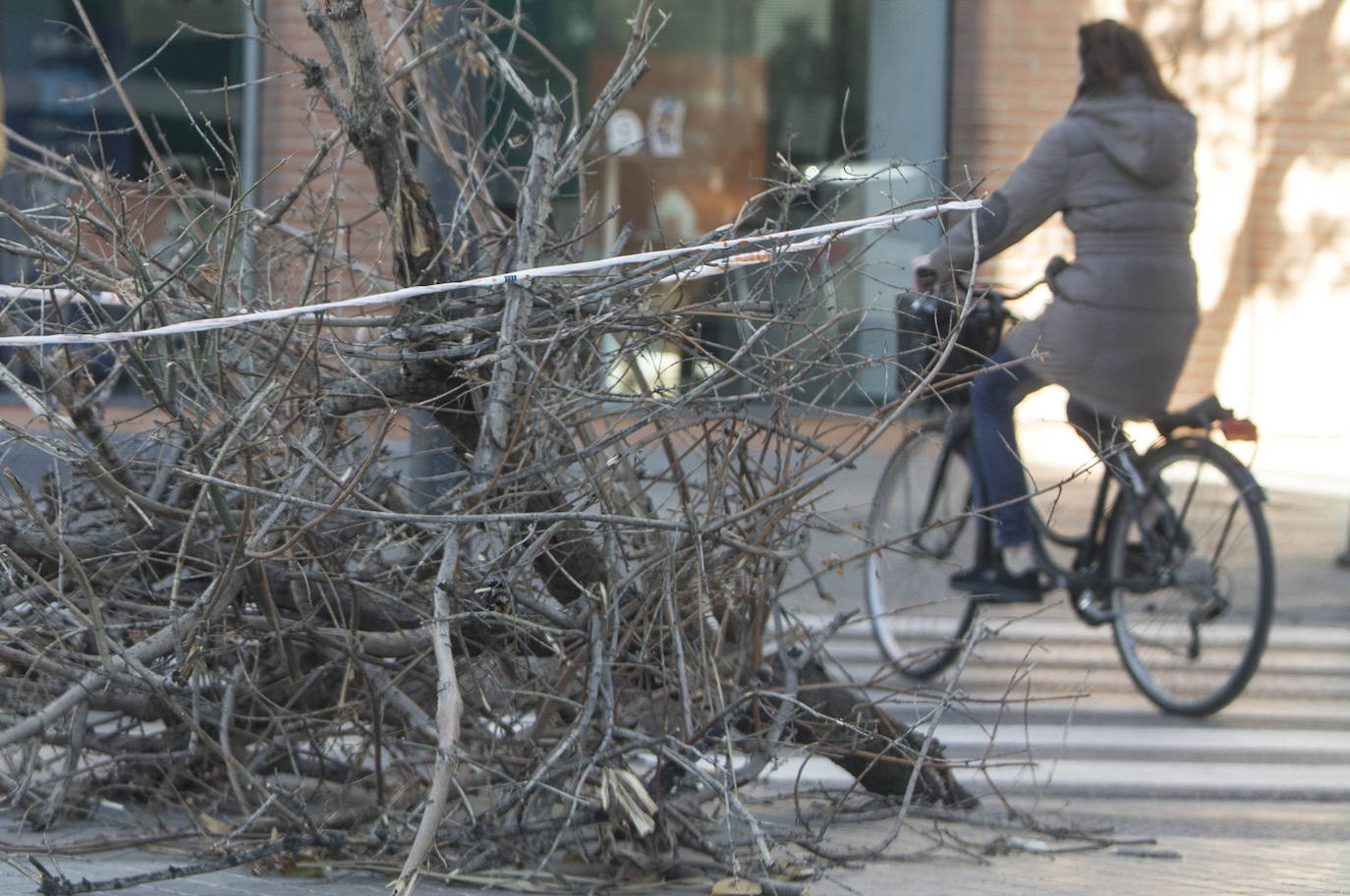 Fotos: Temporal del viento en la Comunitat valenciana