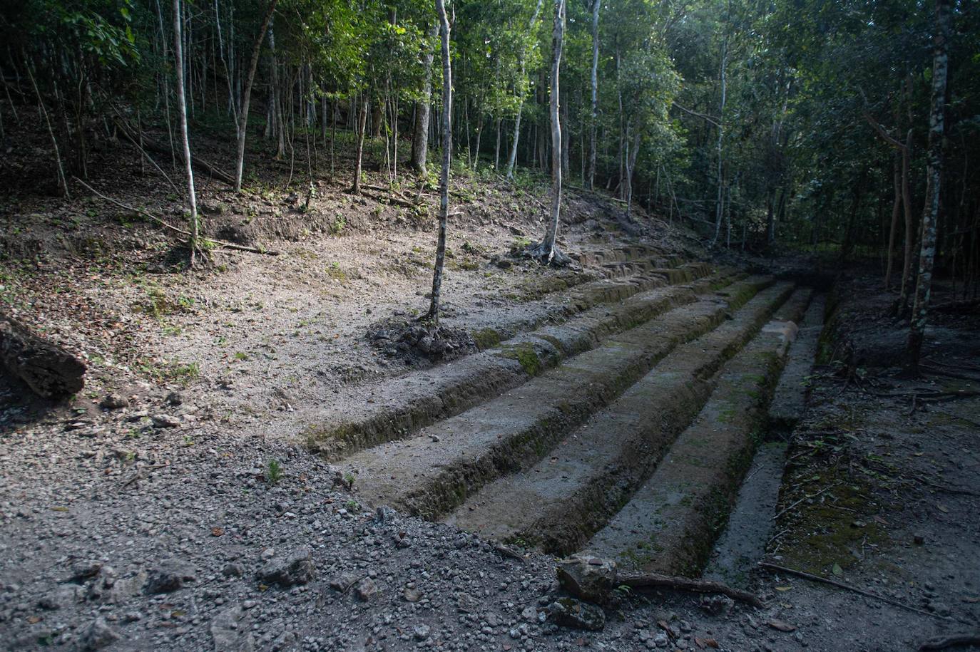 Selva de Guatemala | Tesoros milenarios que esconde la selva