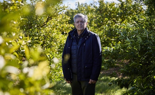 Francisco Campillo en un campo de Sagunto. 