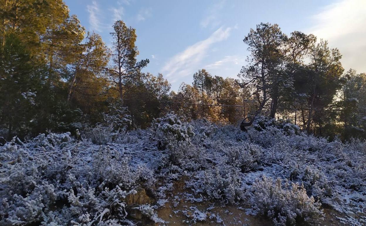 Nevada en Casas de Moya.