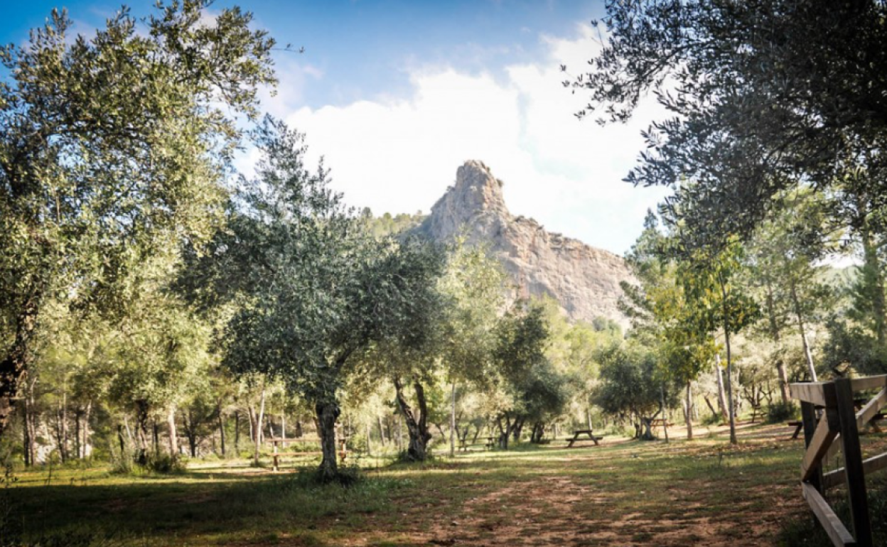 Zona en la que se realizará la batida por parte de los cazadores este sábado. 